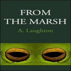 From The Marsh From The Marsh
